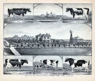 Claudius Jones and Son, Prairie Lawn Stock Farm and Residence, Seward, Nebraska State Atlas 1885